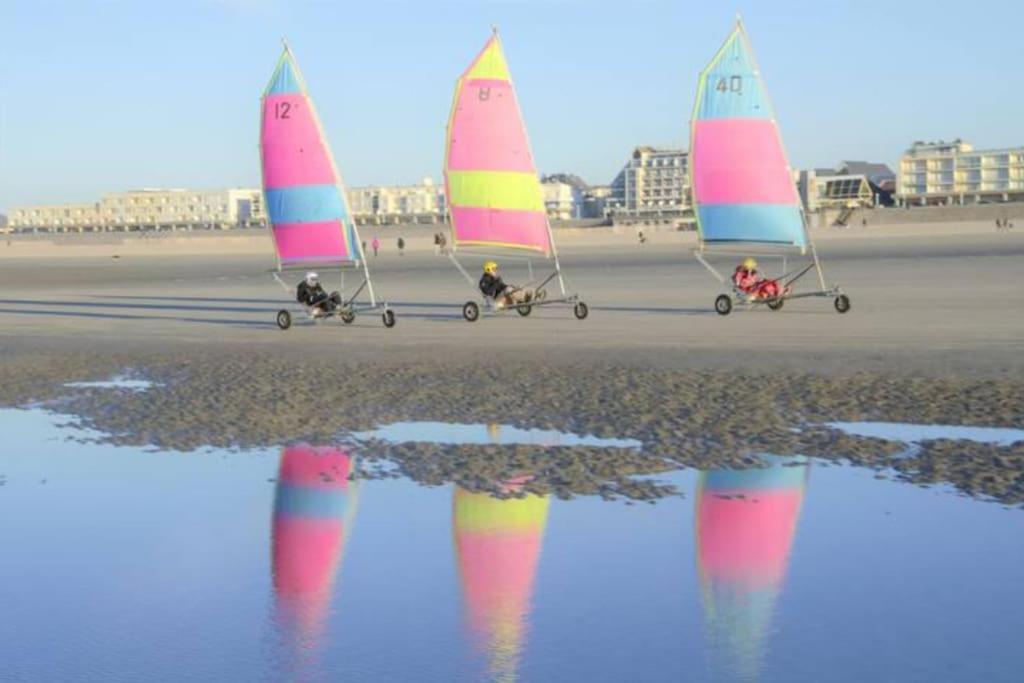 Berck Cozy D'Opale Charmant T1 Bord De Mer Cour Privee Et Clot Wifi 3 Pers Animaux Acceptes Gratuit 아파트 외부 사진