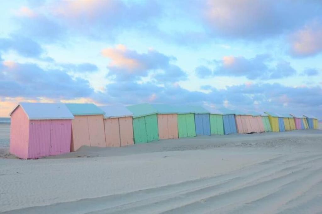 Berck Cozy D'Opale Charmant T1 Bord De Mer Cour Privee Et Clot Wifi 3 Pers Animaux Acceptes Gratuit 아파트 외부 사진